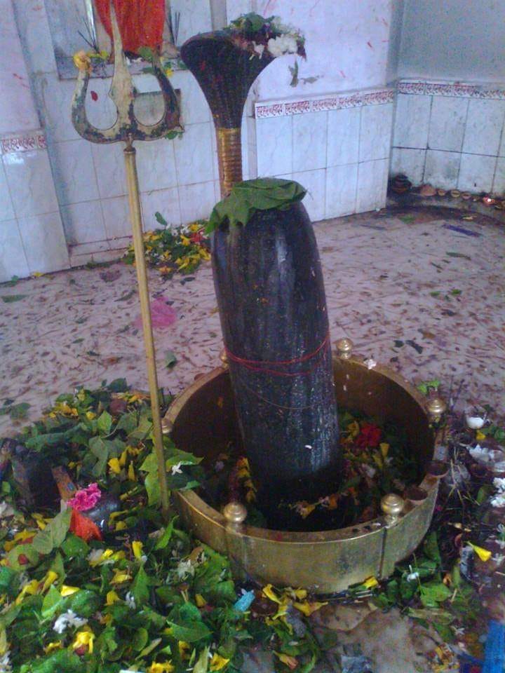 Sawan Special Nageshwar Mahadev Temple is more than 400 years old