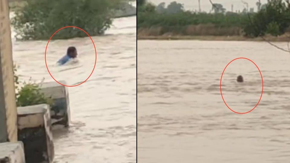 Flood in Punjab all update news in hindi man drowns in mamdot