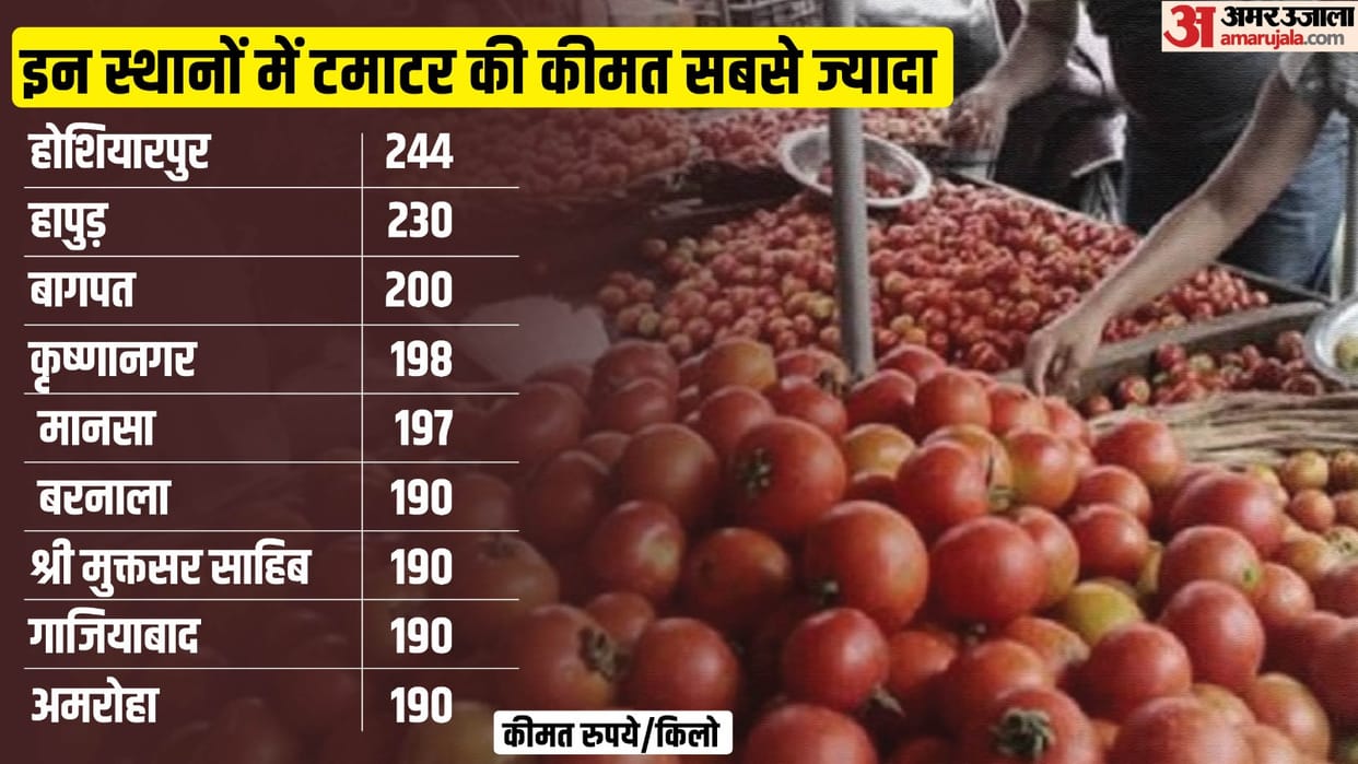 Tomato Price in India Today: City Wise Rates of Tomatoes Know Why Price Is Increasing Reason Behind
