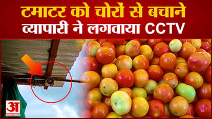 Umaria News: Vegetable trader installed CCTV to protect tomatoes from thieves
