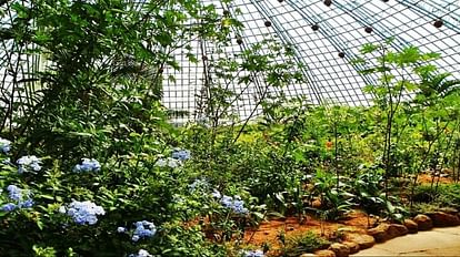The open-air butterfly park at Birsa zoo will soon be opened to the public, the official said.