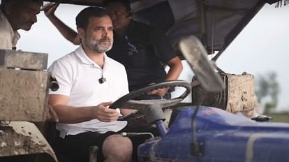 Congress leader Rahul Gandhi planted paddy and drove tractor in Sonipat Haryana