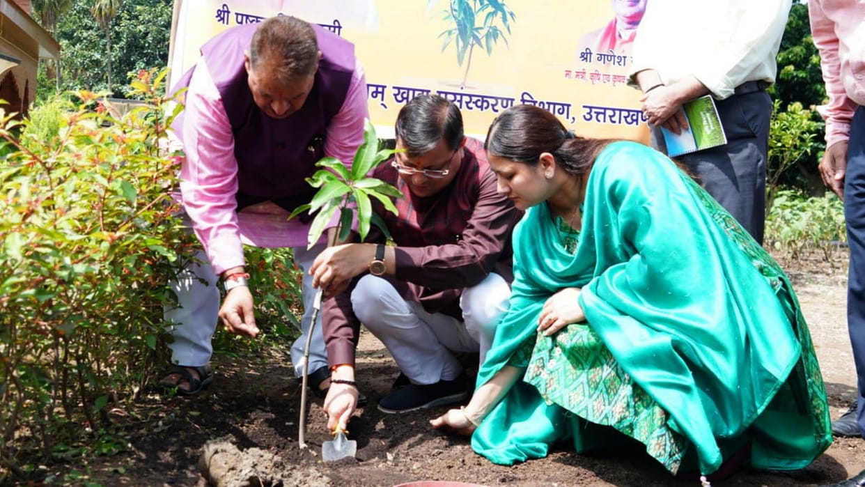 Harela festival begins today in Uttarakhand Cm Pushkar Singh Dhami read more Update in hindi
