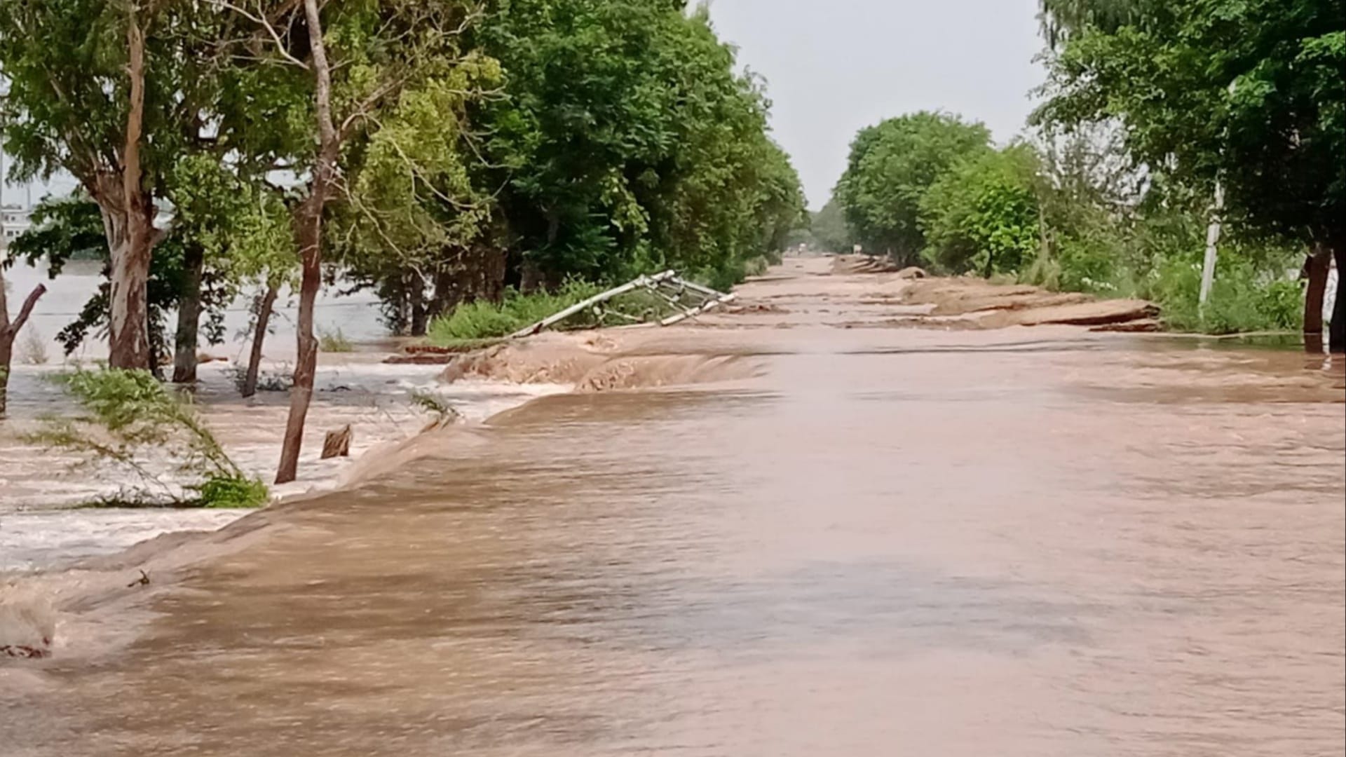Flood in Haryana: 403 more villages affected in 24 hours, embankment breached at 4 places in Sirsa