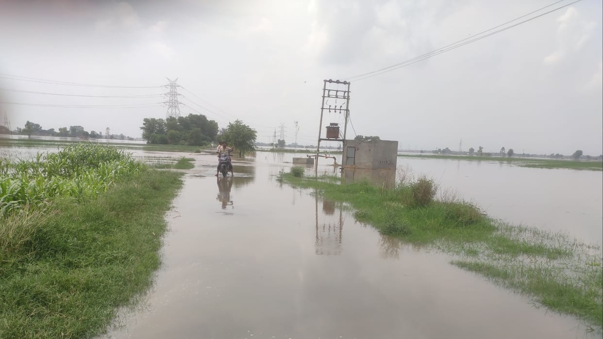 Flood in Haryana: 403 more villages affected in 24 hours, embankment breached at 4 places in Sirsa