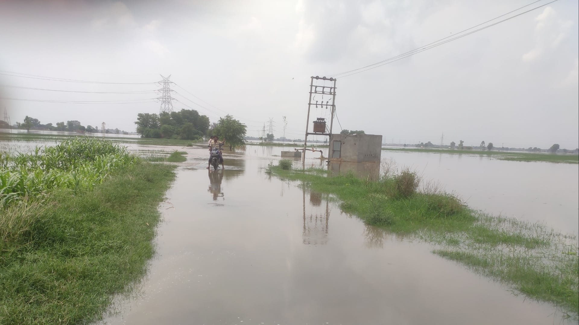 Haryana Flood: Embankment cracking in Sirsa-Fatehabad, villages drowning