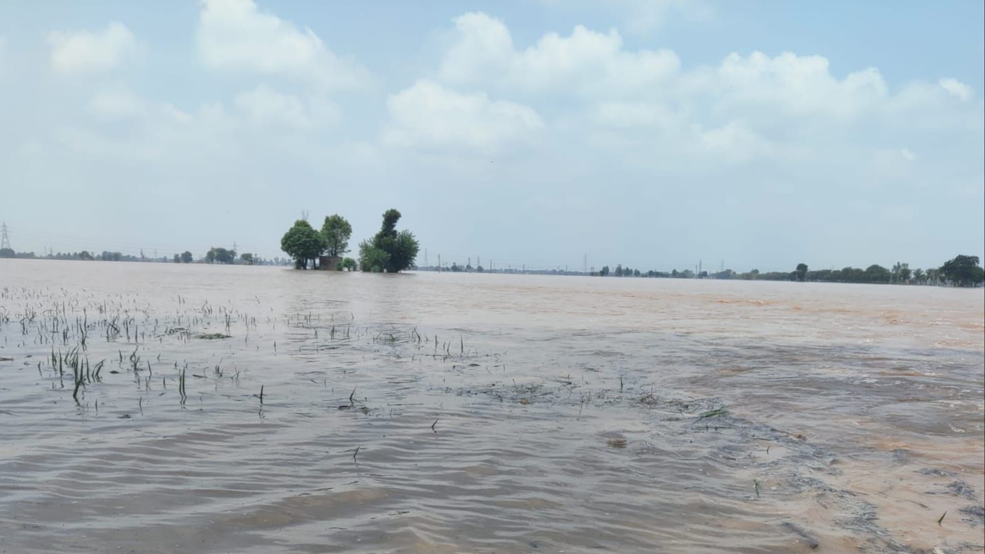 Flood in Haryana: 403 more villages affected in 24 hours, embankment breached at 4 places in Sirsa