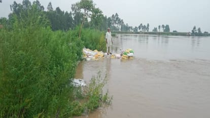 crops are getting destroyed due to floods due to heavy rains In Kasganj farmers are upset due to this