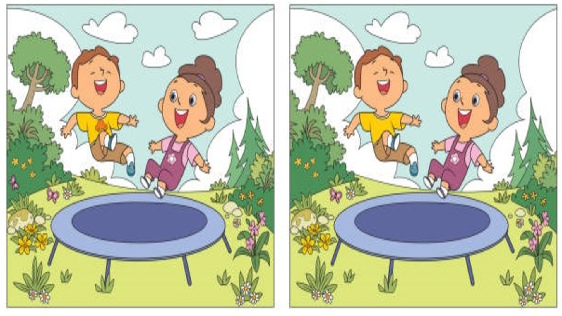 optical illusion find 7 differences in these picture quiz puzzle game