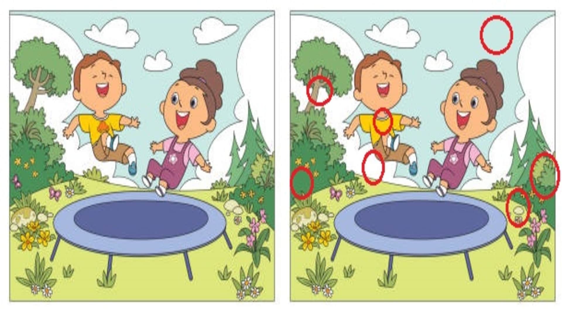 optical illusion find 7 differences in these picture quiz puzzle game