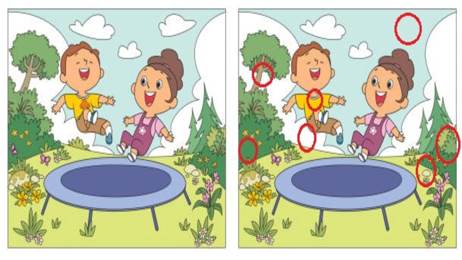 optical illusion find 7 differences in these picture quiz puzzle game