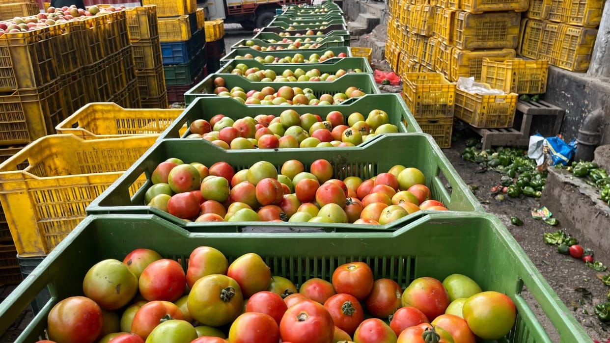 tomato price declined in himachal pradesh 20 to 50 rupee per kg sold