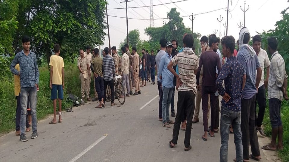 Three youths riding two bikes collided with a bull