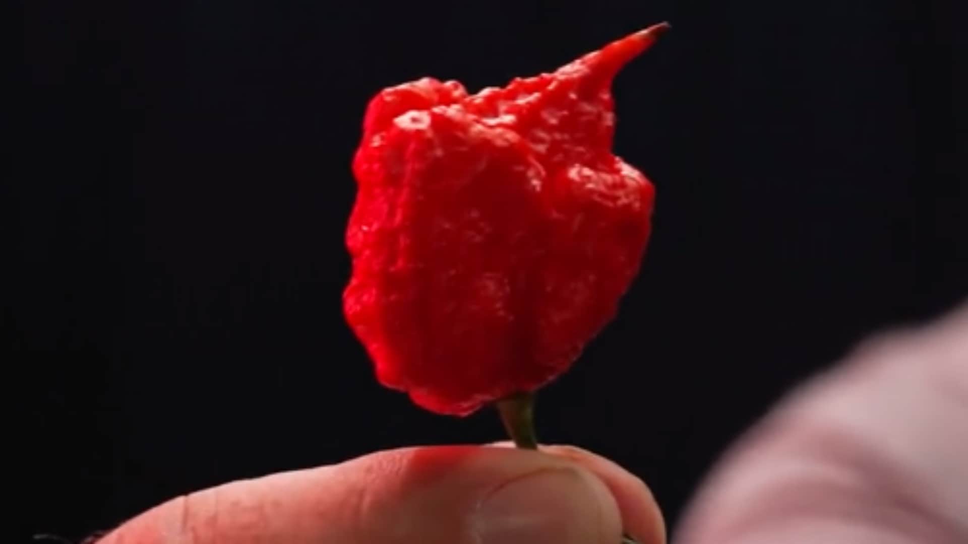 Gregory Foster Eats 10 Carolina Reaper Worlds Hottest Peppers In 33 Seconds To Break Guinness Record