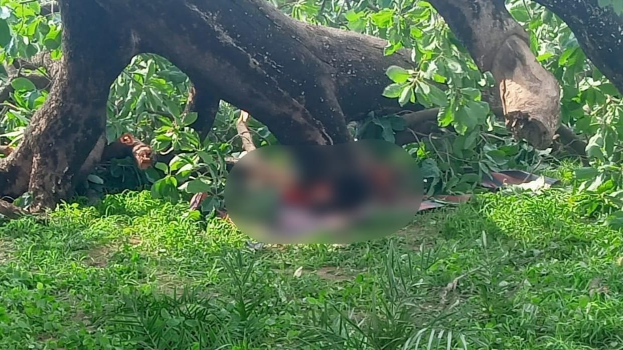 Katni News Mother and son die after being buried under a broken branch of a tree