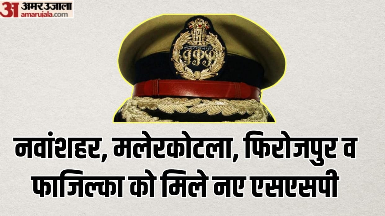 17 police officers transferred in punjab