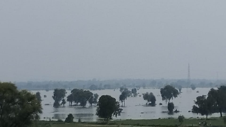 Flood threat looming over Midhavali