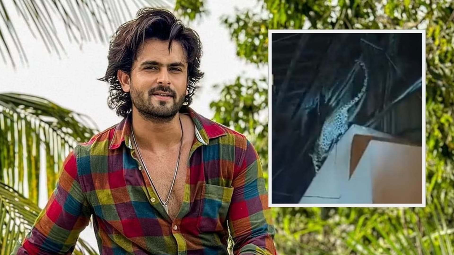 Leopard enters sets of Shoaib Ibrahim Tv show Ajooni At Goregaon Film City attacks dog see viral video