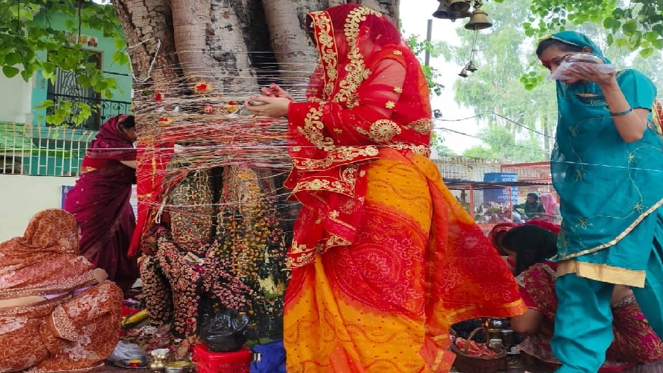 Women worship Peepal tree on Somvati Amavasya in Shahjahanpur