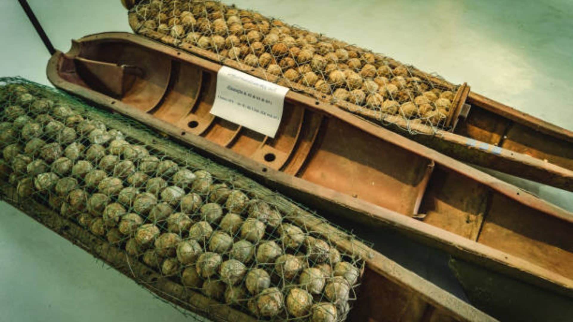 what is cluster bomb which scares russian president vladimir putin know the all details about cluster bomb