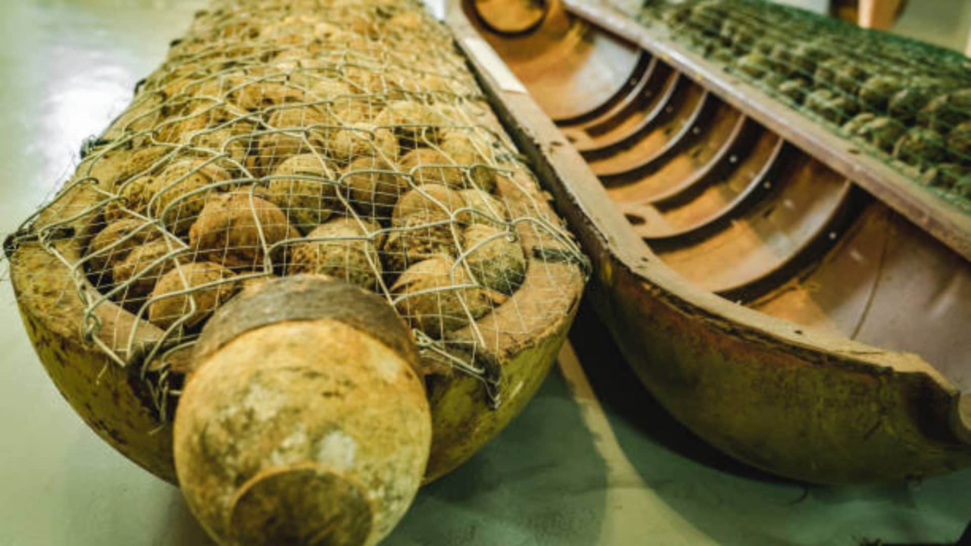 what is cluster bomb which scares russian president vladimir putin know the all details about cluster bomb