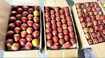 Buyers from Nepal, Bhutan and Bangladesh did not reach to buy apples