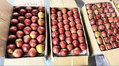 Himachal News: सेब खरीदने नहीं पहुंचे नेपाल, भूटान और बांग्लादेश के खरीदार Buyers from Nepal, Bhutan and Bangladesh did not reach to buy apples