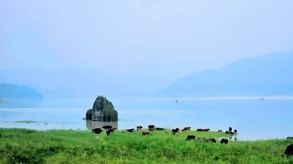 Bilaspur News: गोबिंद सागर झील में जल समाधि लेने लगे मंदिर, जानें पूरा मामला Temples started taking water samadhi in Gobind Sagar lake, know the whole matter