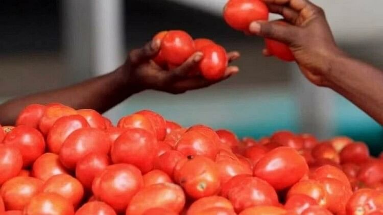 Dehradun Mandi to buy tomatoes from Afghanistan