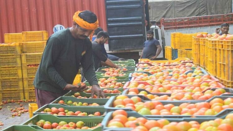 Tomato Price: वाराणसी के गली-मोहल्ले में बिका 70 रुपये किलो टमाटर, जहां नहीं पहुंची वैन वहां लोग मायूस