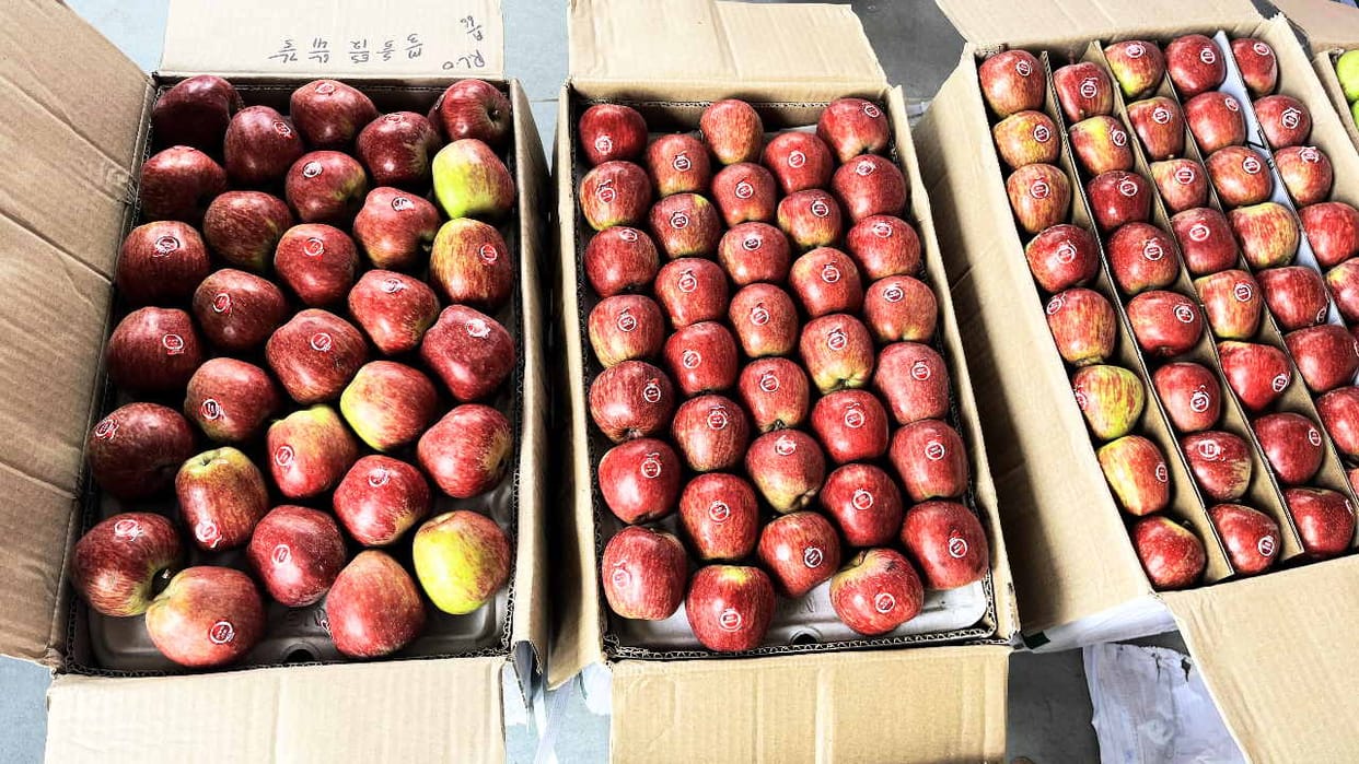 Royal apple knocks in Solan, Parwanoo market, sold at Rs 136 per kg