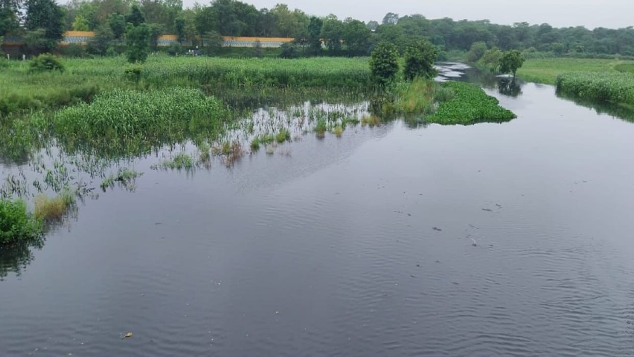 Baghpat News: water level increased in Krishna river, crops of farmers got submerged