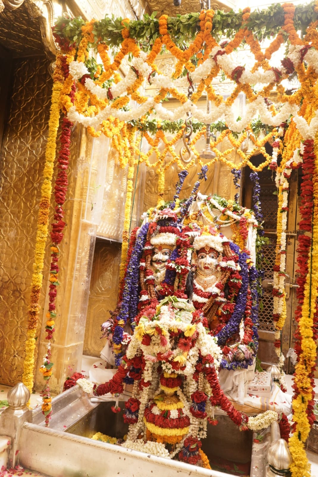 Baba Vishwanath's wonderful Gauri-Shankar Shringar More than five lakh Shiva devotees performed Jalabhishek