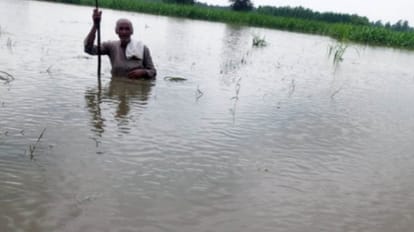 Flood in Bijnor: Car in water, boat on the road, life disrupted due to flood
