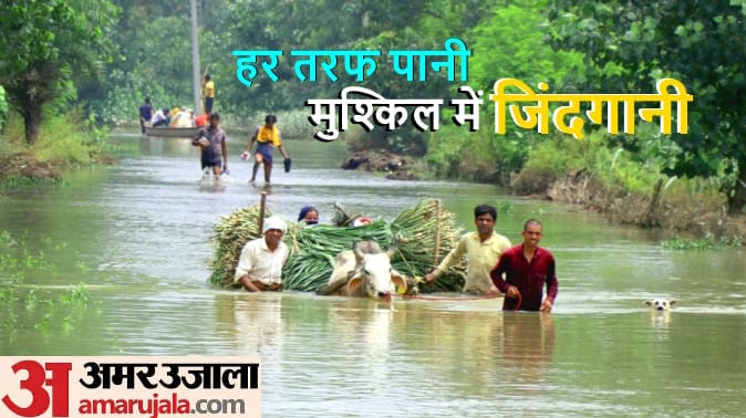 Flood in UP: Flood in Many areas in Bijnor District in UP, life in danger, see in Pictures