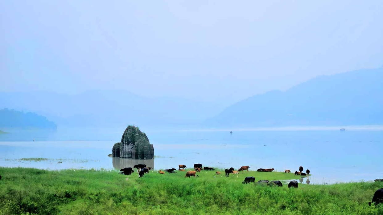 Temples started taking water samadhi in Gobind Sagar lake, know the whole matter