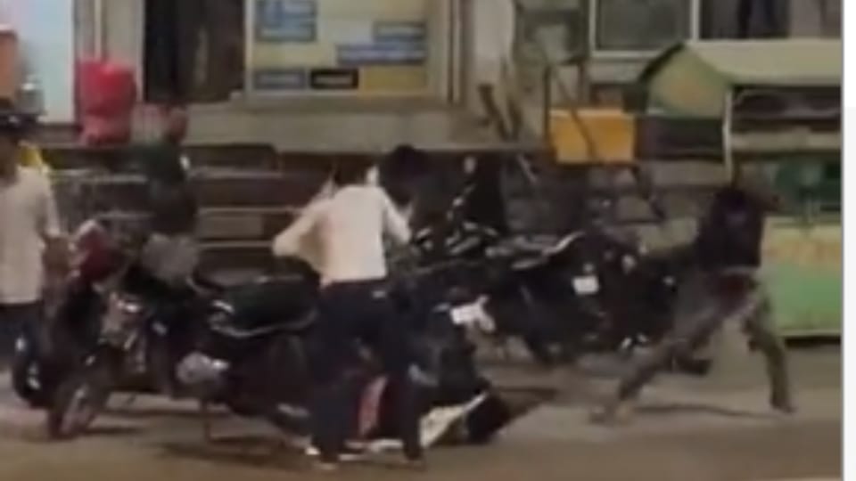 Miscreants beat two youths with iron pipe and rod on Sikar Nawalgarh road video viral