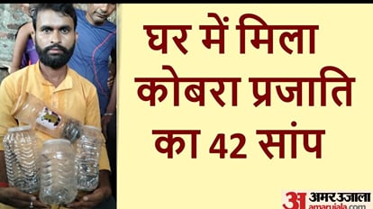खौफ के साए में परिवार: एक घर में निकले 42 सांप, इनकी प्रजाति जानकर हर कोई हैरान 42 snakes came out in a house at Kushinagar