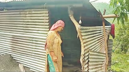 Poor family living in tin shed in Junga Shimla Himachal Pradesh