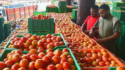 Tomatoes will be sold at Rs 70 per kg at these 10 places in Lucknow from today