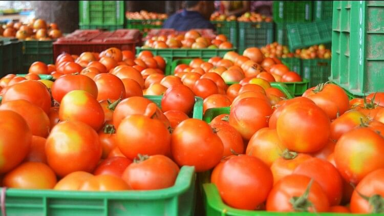 Tomato Prices: फिर आसमान छूने लगे टमाटर के दाम, सब्जियों के दामों में भी लगातार उछाल, यहां देखिए रेट लिस्ट