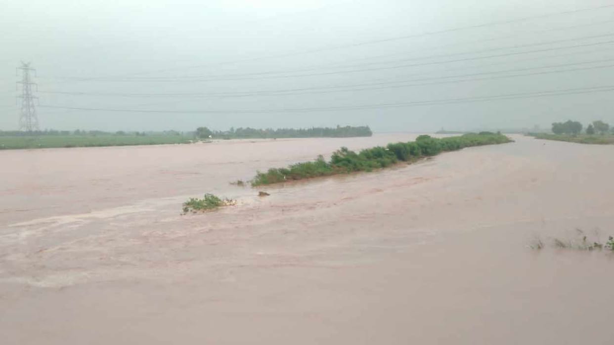 Holiday for schools in Pathankot and Gurdaspur due to floods