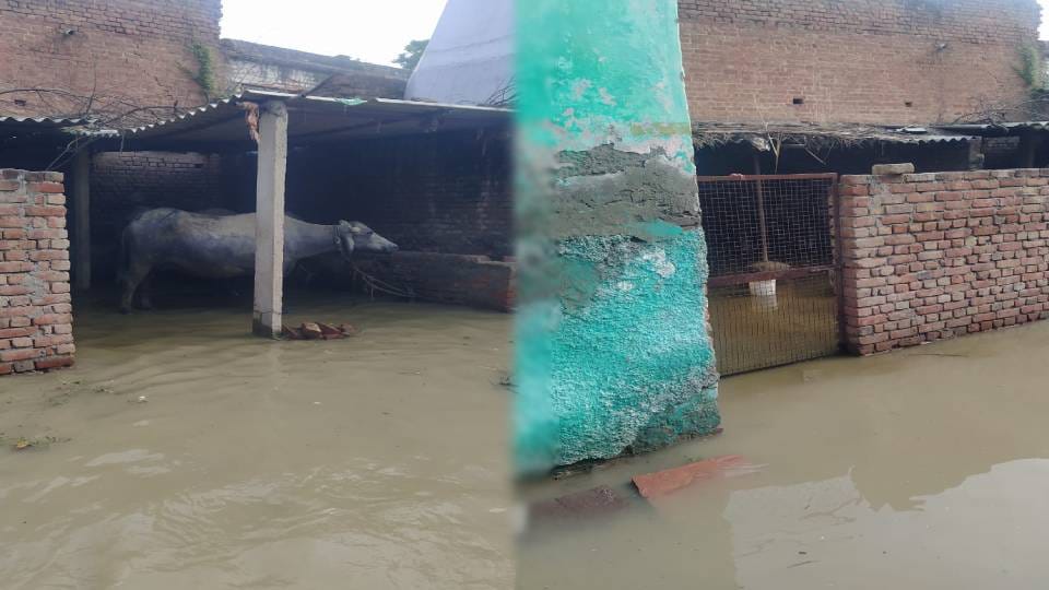 Yamuna flood in Agra drowned fourty village roads