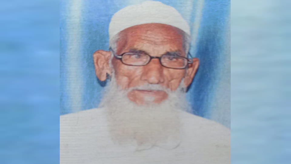 Farrukhabad: Monkeys attacked, old man died after falling from the roof