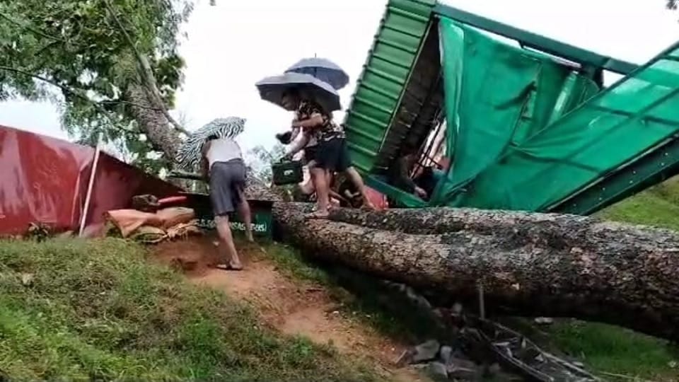 A giant tree fell on the jawan posted on the Naxal front