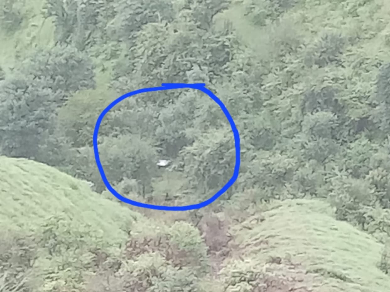 Dehradun Accident News Car Fell into ditch in Vikas Nagar woman died and three injured