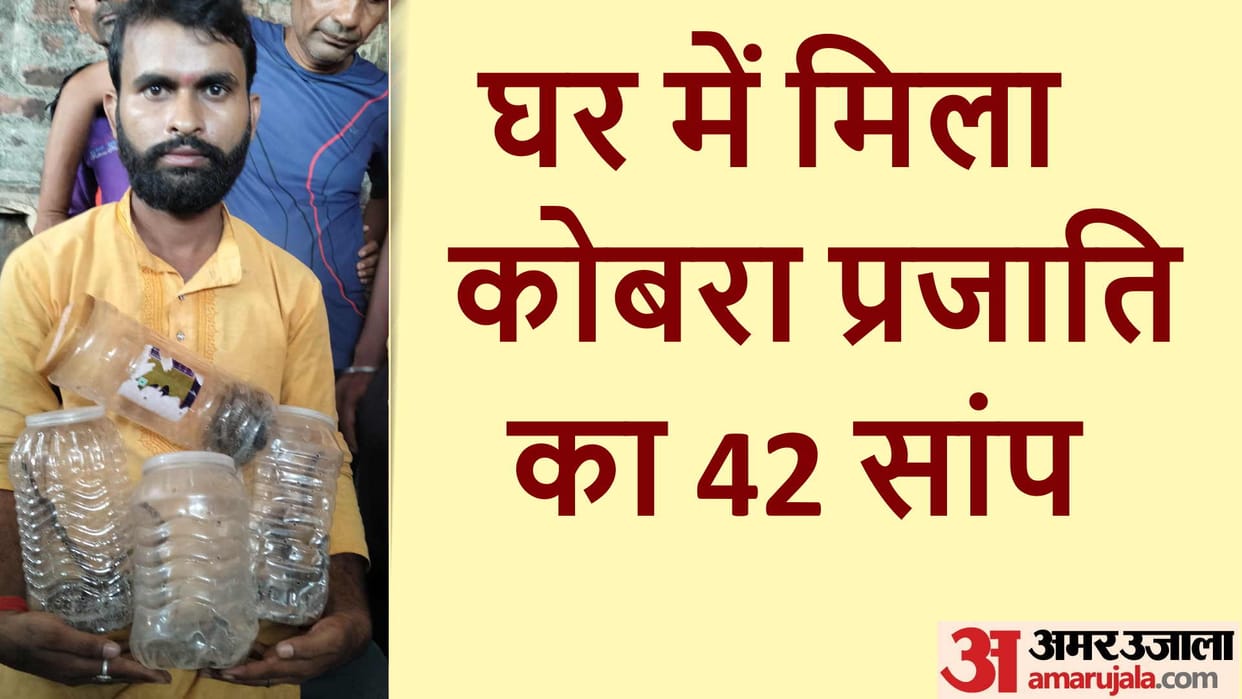42 snakes came out in a house at Kushinagar