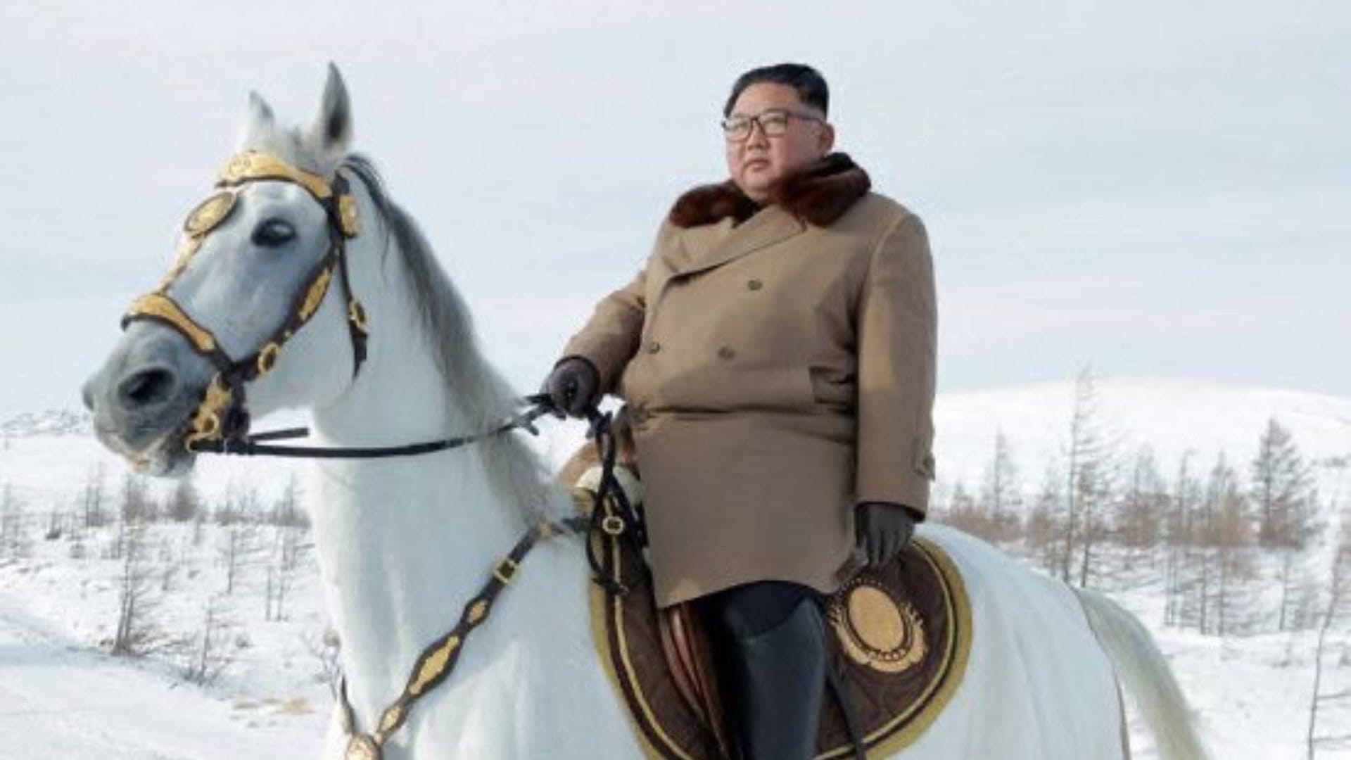north korea supreme leader kim jong un biography killed his own uncle