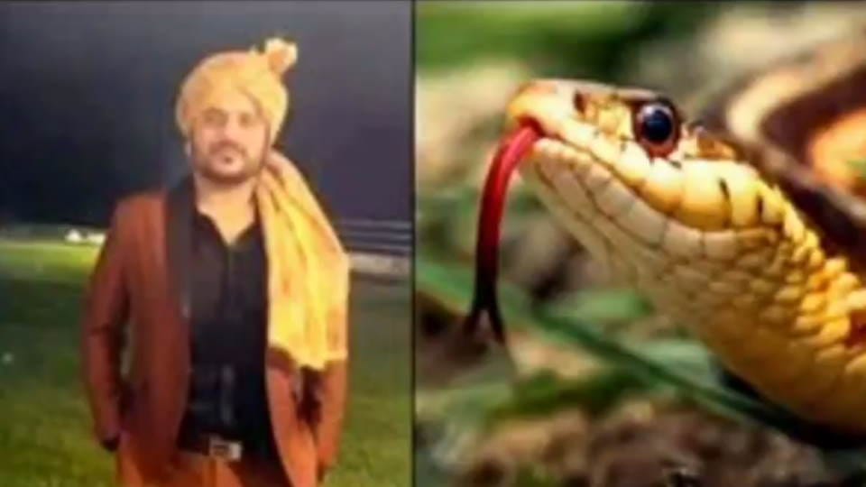 Boyfriend got bitten by cobra snake web series will be made girlfriend mahi haldwani Uttarakhand news