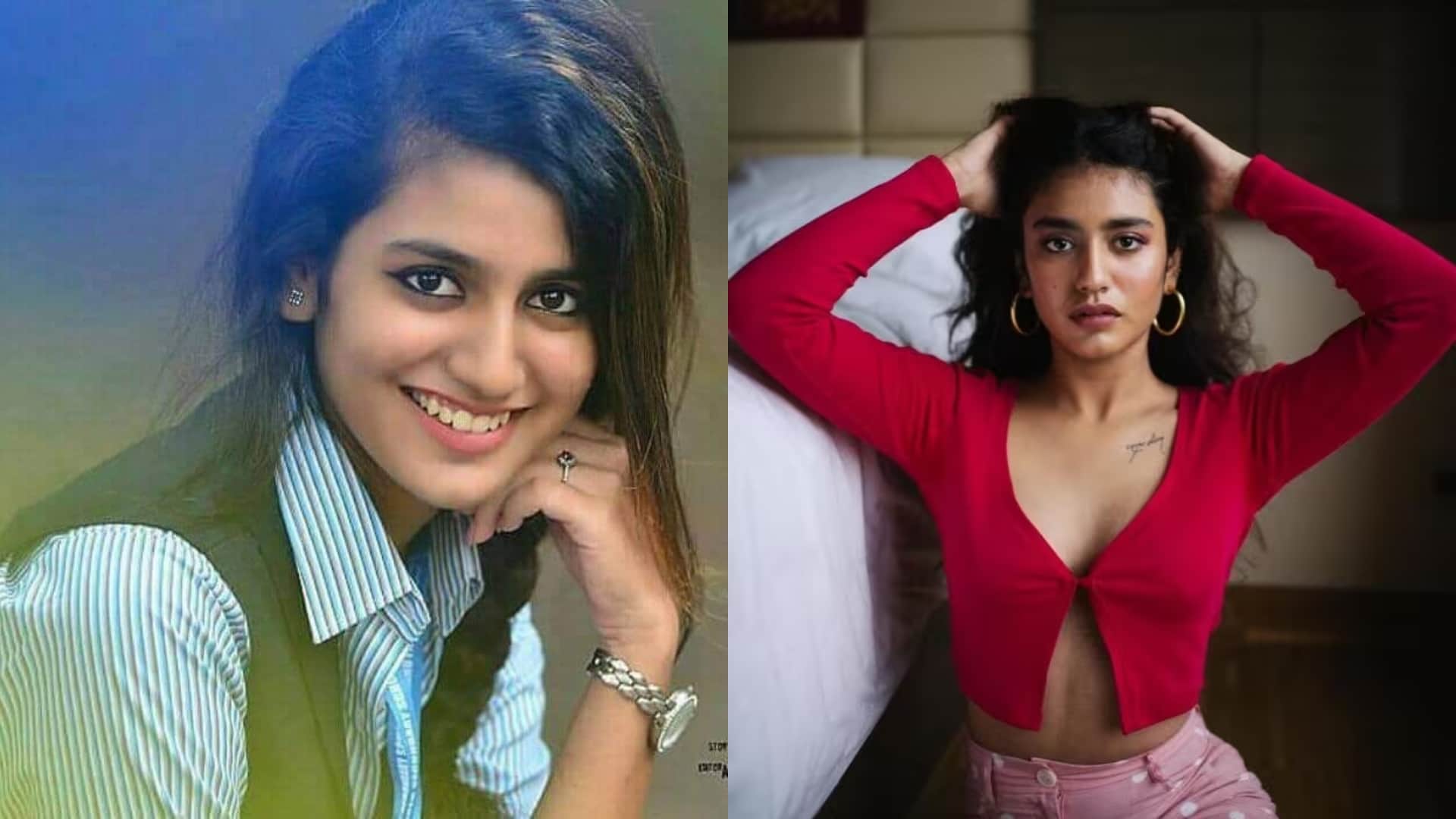 Actresses who Got Tag of National Crush Animal actress Triptii Dimri Rashmika Mandanna Priya Prakash Varrier